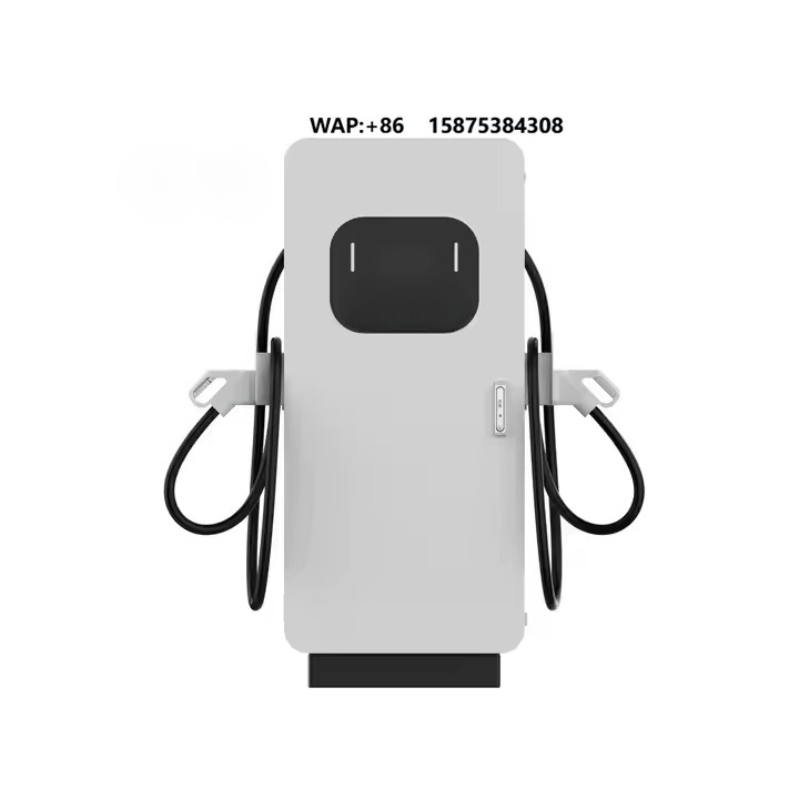 Ev Charging Station 60Kw Dc Fast - DC Charging Station Supplier 60kW Charging